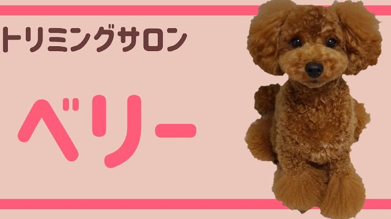 町のトリミングサロン ベリーの写真