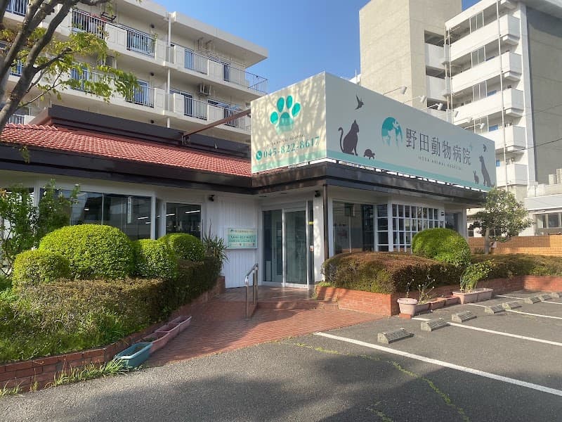 野田動物病院 戸塚分院の写真