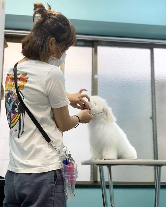 フントヒュッテ鳥越店の写真2