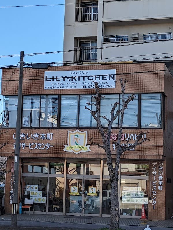 ドッグラン・カフェ・ホテルの店リリーキッチンの写真1