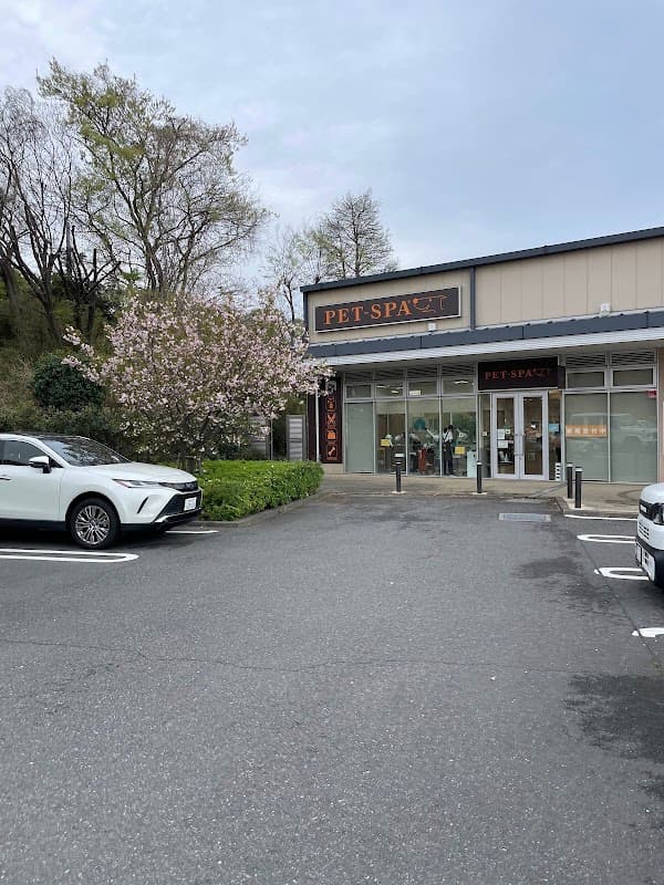 PET-SPAあざみ野ガーデンズ店の写真2