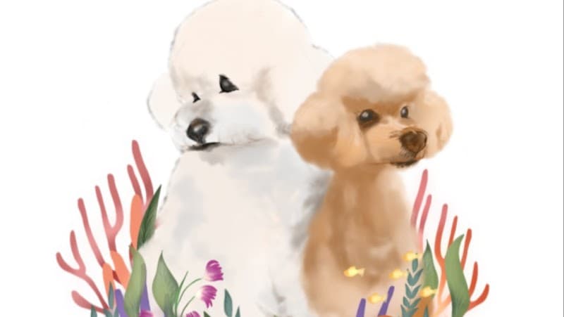 Dogsalon Coral 🪸(ドッグサロン コーラル)の写真