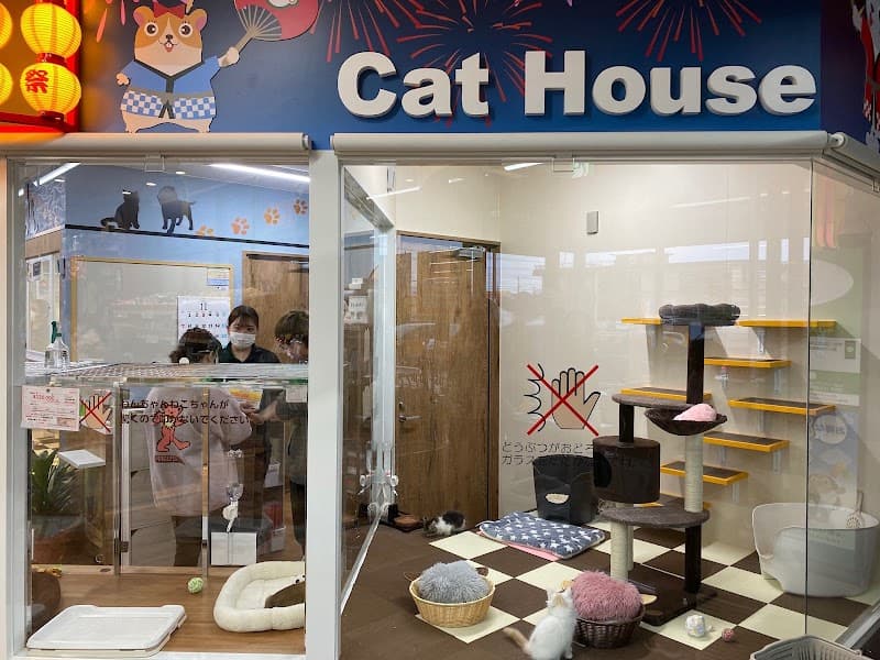 ペットショップ 犬の家&猫の里 アミーゴ高岡蓮花寺店の写真