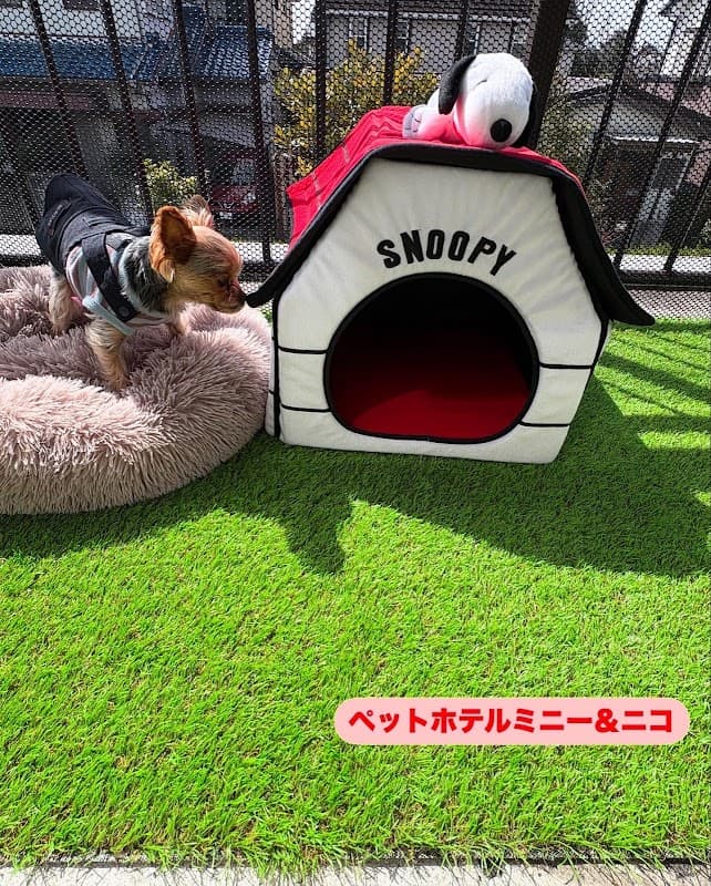 PET HOTEL ミニー&ニコの写真1