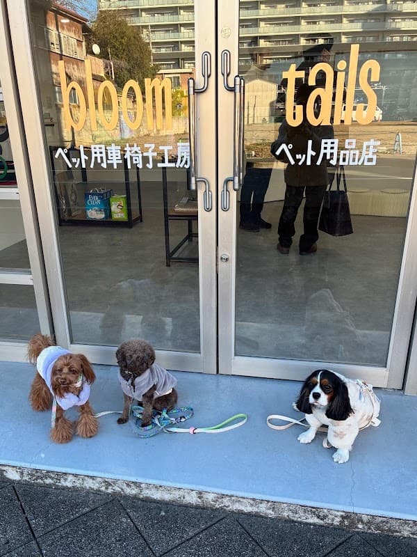 bloom tailsの写真