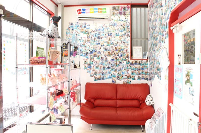 モバイルドッグサロン wanpooの写真