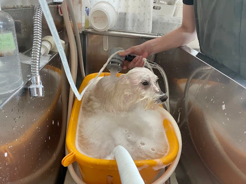 ドッグサロンナチュラルライフどーなちゅの写真