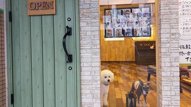 MDogSpa 大倉山の写真