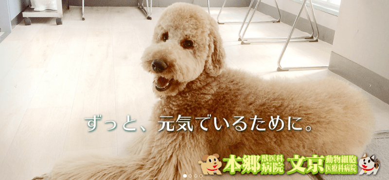本郷獣医科病院の写真