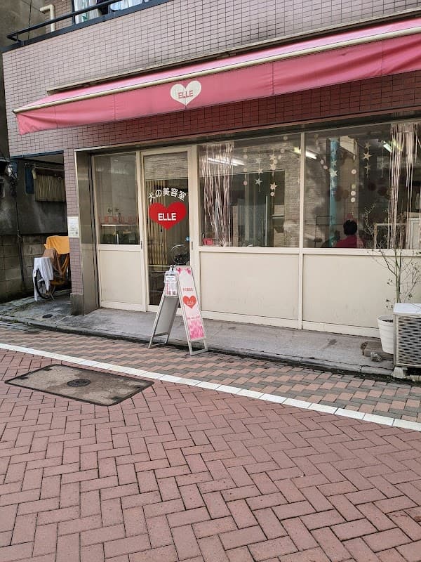 犬の美容室ELLEの写真