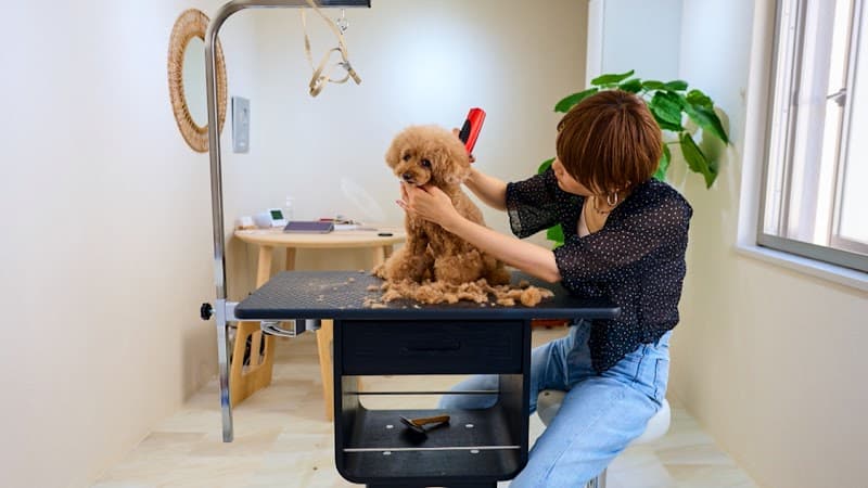 Lovely Grooming / ラブリーグルーミング プライベートトリミングサロンの写真5
