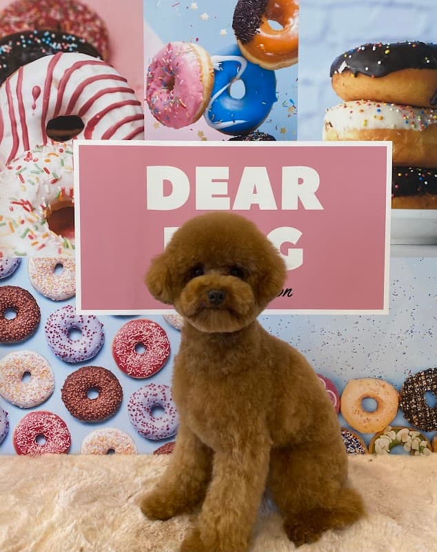 TrimmingSalon DEAR・DOGの写真2