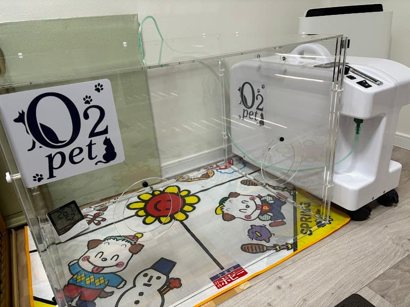 CHARMANT DOG(高槻店)の写真5