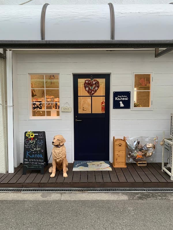 DogSalon Kanoa(ドッグサロン カノア)の写真