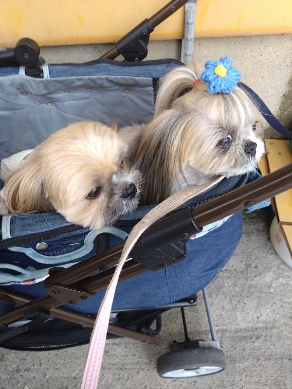 犬猫病院の写真