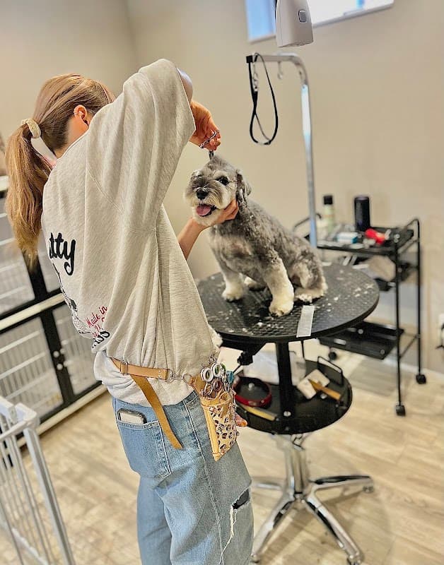 隠れ家ドッグサロン❤︎.*Dogroom TEDDY-テディ-の写真