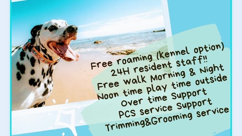 Happy tails okinawa pet hotel & grooming serviceの写真1