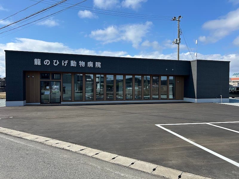 龍のひげ動物病院の写真