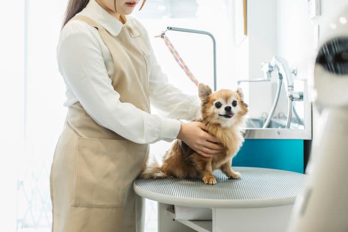 ペットサロンくんくんの写真