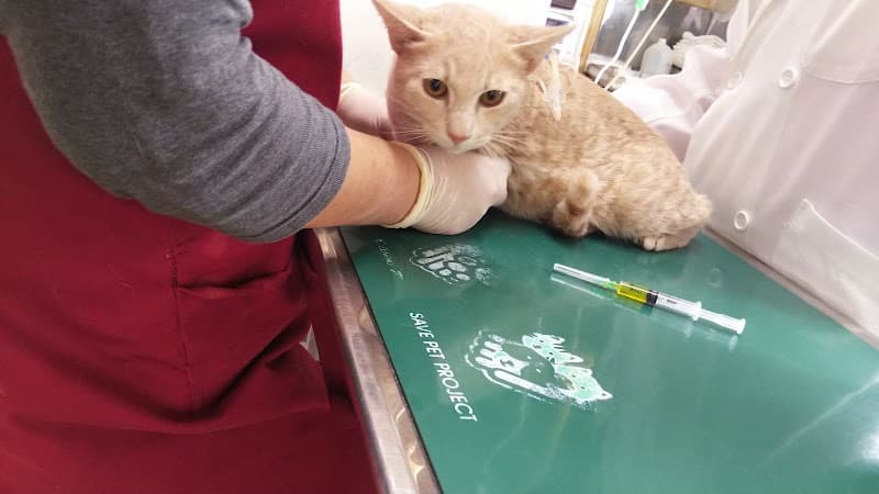 井上動物病院の写真