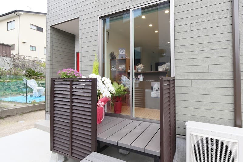 Pet Salon Rioの写真