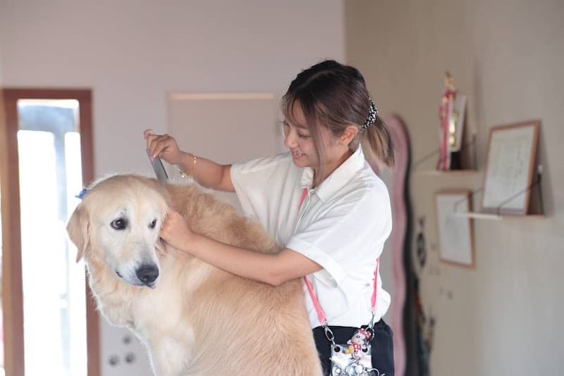 トリミングサロン&ペットホテル Luhee(ルーヒー)の写真2