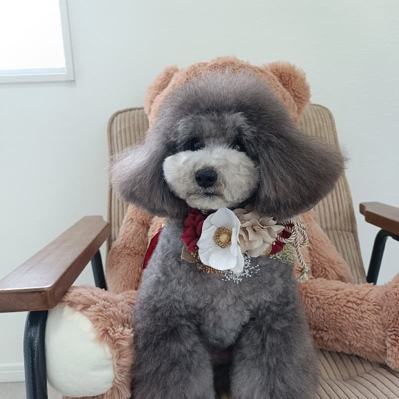 ペットホテル & トリミングサロン ワンルーク 松山市松山空港店の写真5