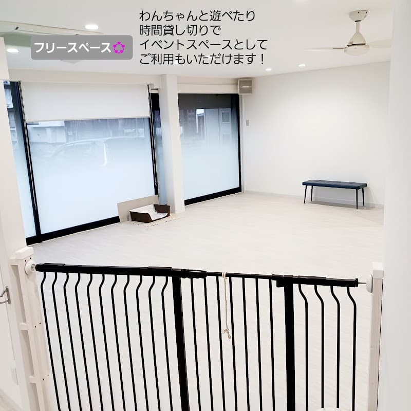 wancotoの写真