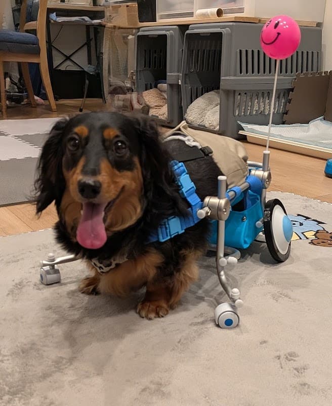 右京動物病院 HEALTH CARE CENTERの写真