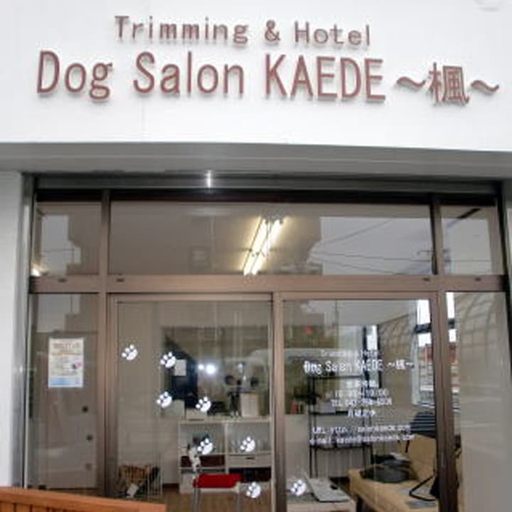 Dog Salon KAEDE ~楓~の写真