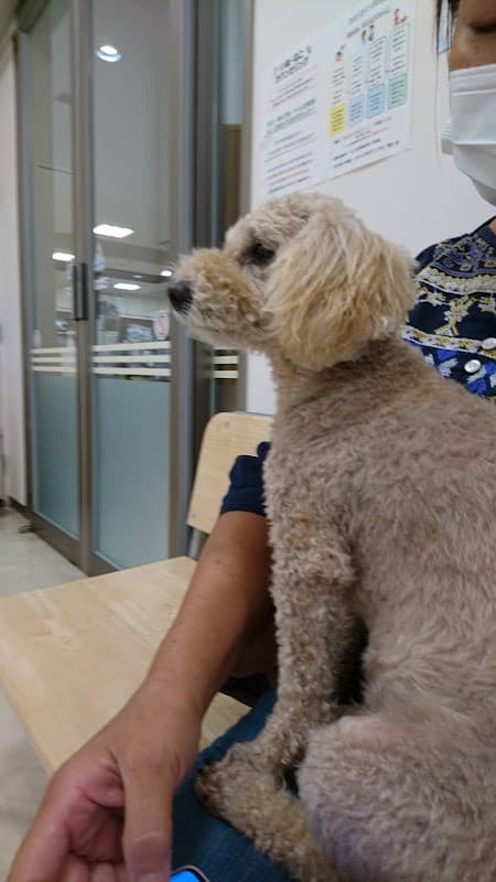 ALLONE動物病院 若葉台病院の写真