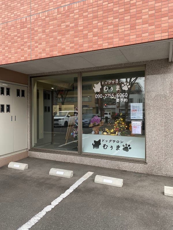 ドッグサロン むぅまの写真