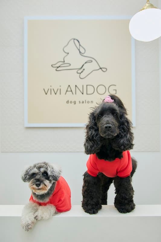 viviANDOGの写真