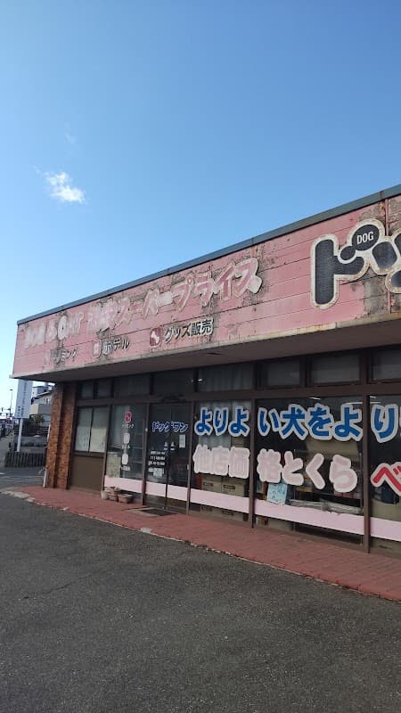 ドッグワンの写真