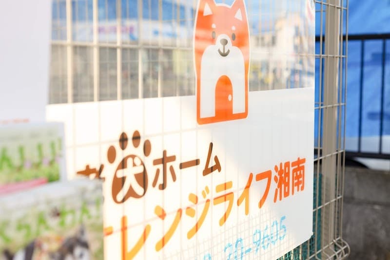 老犬ホーム オレンジライフ湘南の写真