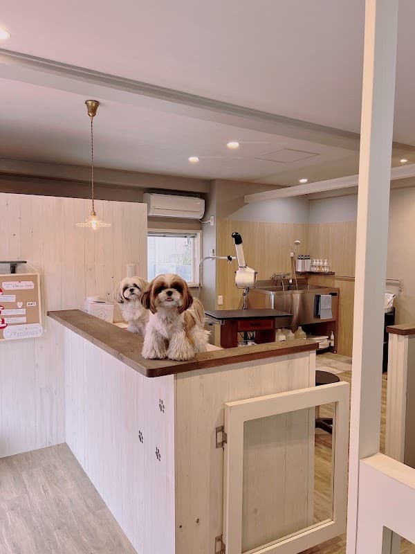DOGSALON mieux(ドッグサロン ミュウ)の写真
