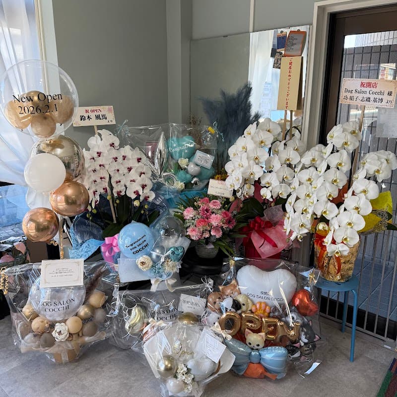 DOG SALON COCCHIの写真4