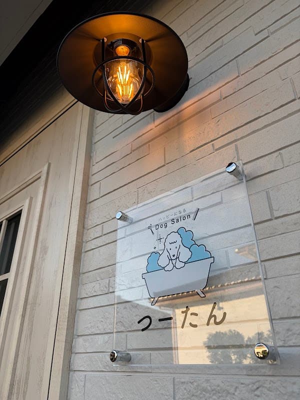Dog Salon つーたんの写真3