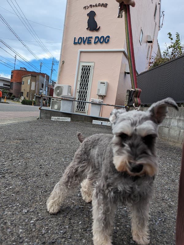 ドッグサロン LOVE DOGの写真