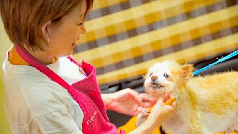 ドッグサロンこたろーの写真
