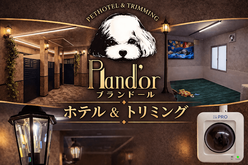 【ホテル&トリミング】plandorl(プランドール )の写真1