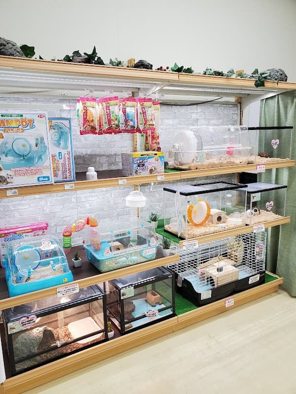 ペットアミ 旭川宮前店の写真