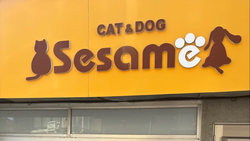 CAT&DOG Sesameの写真