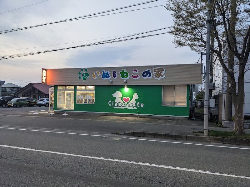 いぬねこの家 クラスメイト 保戸野店の写真