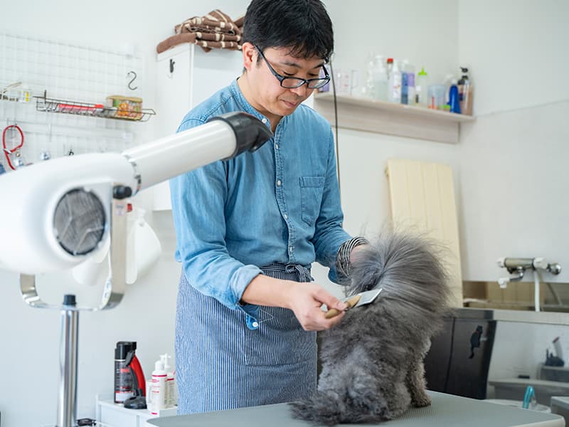 ドッグサロン シルバードッグの写真3