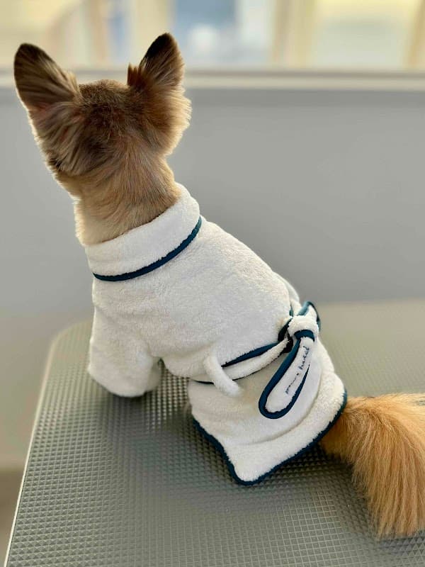 ドッグスパ Lani(dog spa&esthetic Lani)の写真3