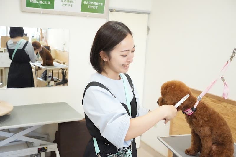 グルーミングハウス ラルフランドの写真