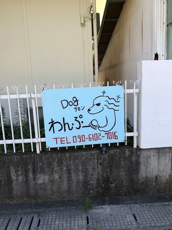 Dogサロン わんぷーの写真3