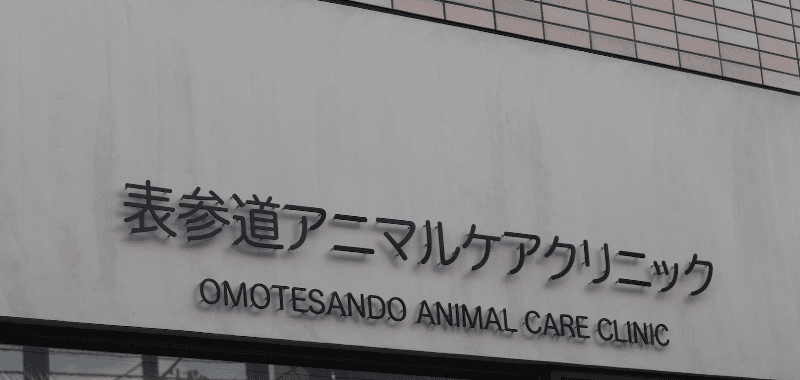 表参道アニマルケアクリニックの写真