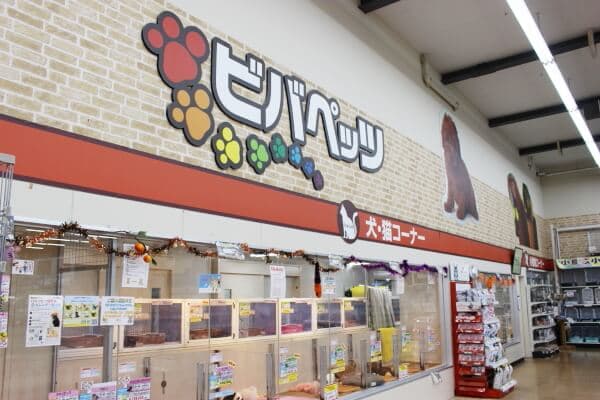 エバーペット(ビバペッツ)小山店の写真
